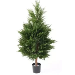 Cyprys Juniperus UV 105 cm