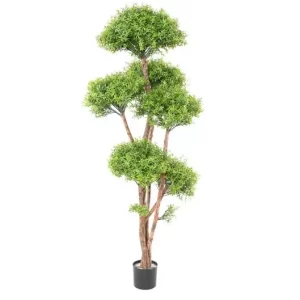 Eukaliptus - Bonsai UV 180 cm