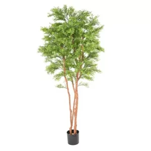 Eukaliptus UV 210 cm