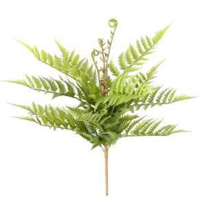 Paproć na Piku UV 50 cm