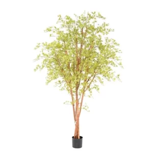 Aralia Żółta UV 280 cm