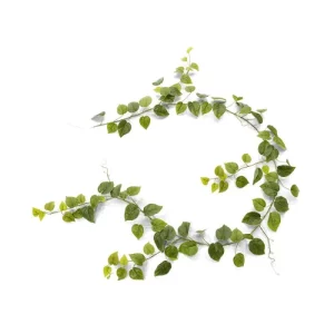 Bluszcz Filodendron - Girlanda 180 cm