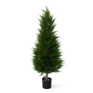 Cyprys Luksusowy 100 cm