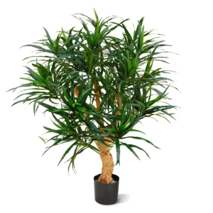 Dracena Reflexa Anita 95 cm