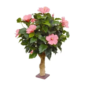 Hibiskus Różowy 65 cm