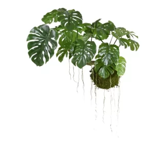 Monstera na Kuli z Mchu 90 cm