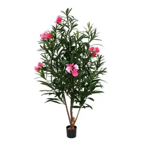 Oleander Luksusowy 150 cm