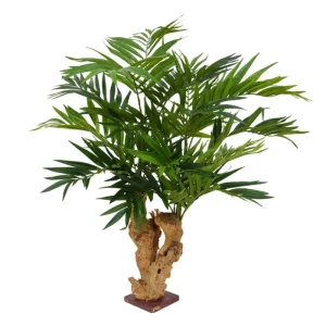 Palma Parlour - Bonsai 65 cm