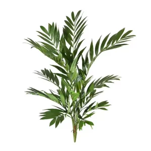 Palma Parlour na Piku 90 cm