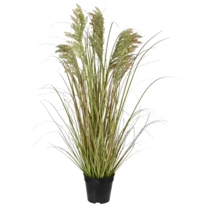 Trawa Pampasowa 90 cm