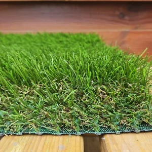 Summer Collection - Summum