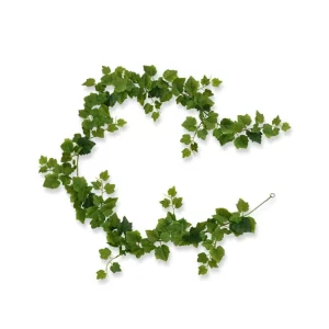 Winobluszcz Zielony - Girlanda 180 cm