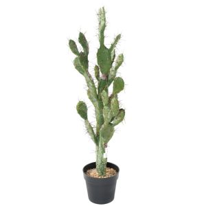 Kaktus Opuncja 105 cm