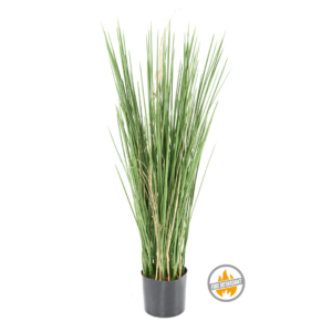 Trawa Miodowa 80 cm - Produkt Trudnopalny FR