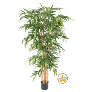 Bambus Luksusowy 180 cm - Produkt Trudnopalny FR