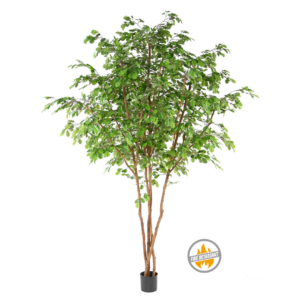 Dąb 330 cm - Produkt Trudnopalny FR