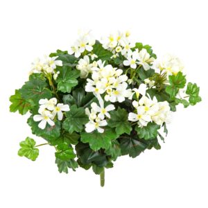 Pelargonia Kaskada Kremowa na Piku 30 cm