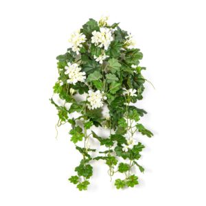 Pelargonia Kaskada Wisząca Kremowa 70 cm
