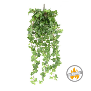 Bluszcz Hedera Zielony 60 cm - Produkt Trudnopalny FR