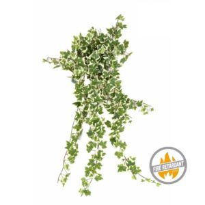 Bluszcz Hedera Biało - Zielony 60 cm - Produkt Trudnopalny FR