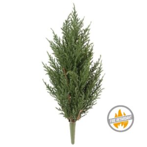 Cyprys na Piku 50 cm - Produkt Trudnopalny FR