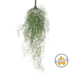 Rypsalis 85 cm - Produkt Trudnopalny FR