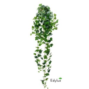 Bluszcz Hedera Zielony 150 cm