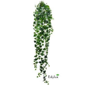 Bluszcz Hedera Zielony 180 cm