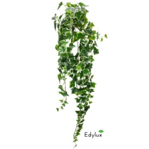 Bluszcz Hedera Biało - Zielony 100 cm