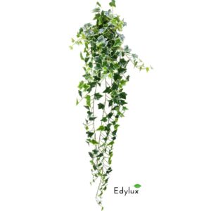 Bluszcz Hedera Biało - Zielony 150 cm